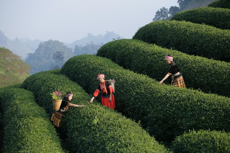 Future World Experiences